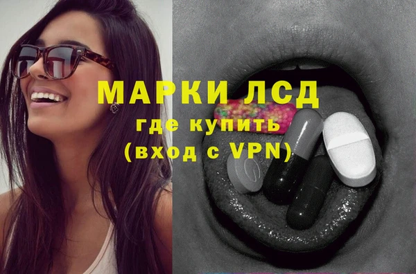 спайс Алзамай