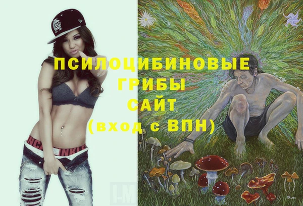 PSILOCYBIN Киренск