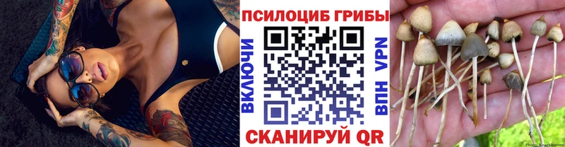 Псилоцибиновые грибы Psilocybe Чишмы